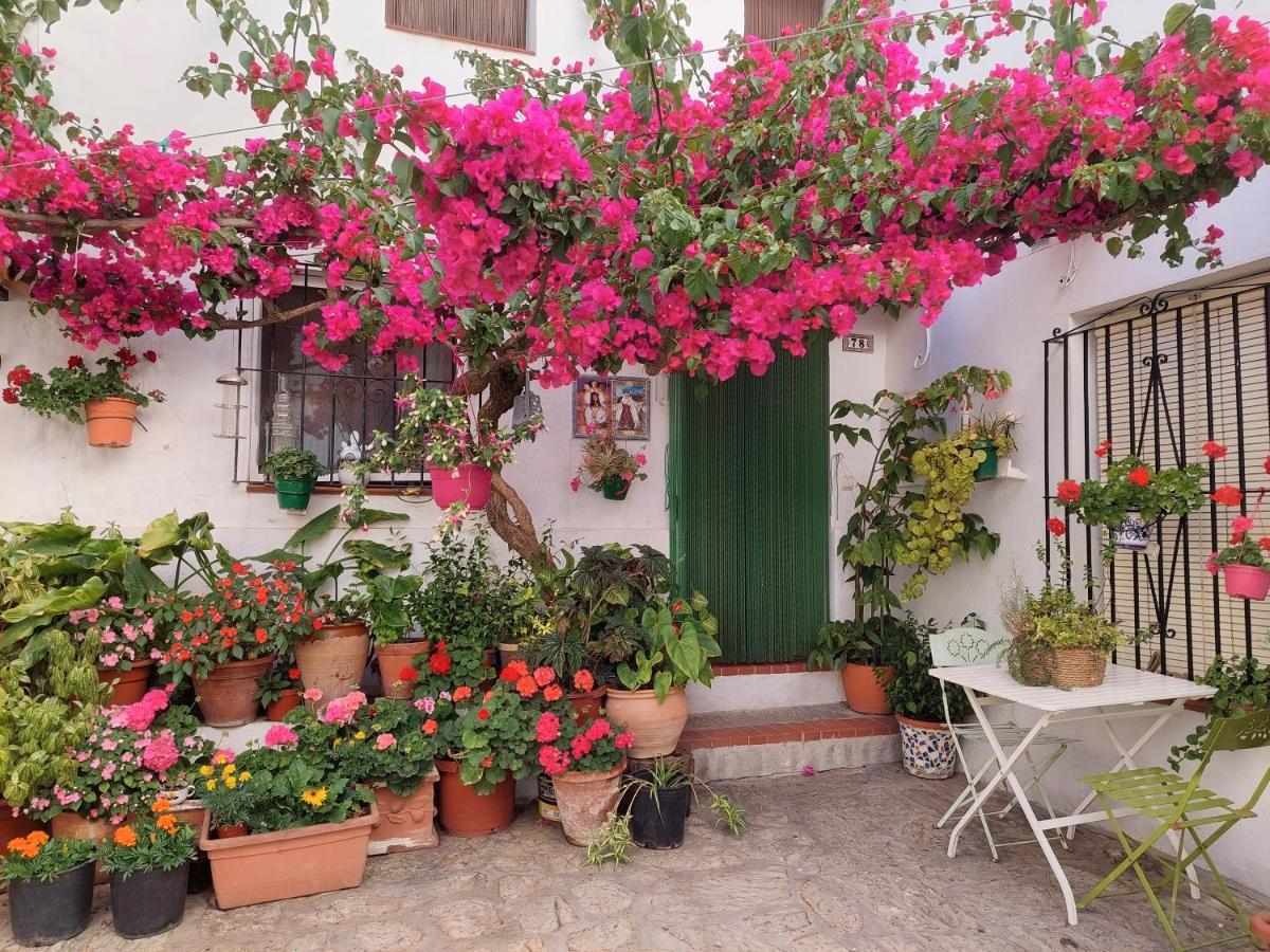 La Buganvilla De Juana Y Antonio * Casares
